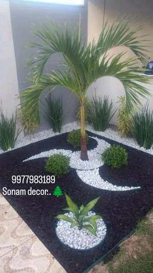payal