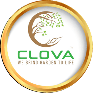 clova landscape