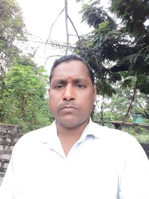 Pardesi