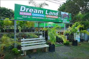 Dream land landscapes 