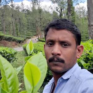 Shameem