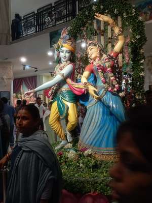 Akul