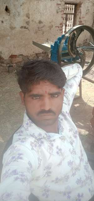 कमल