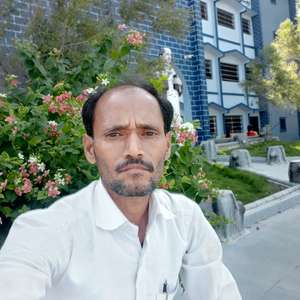 gulab 