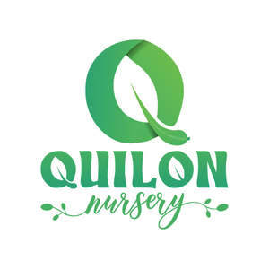 Quilon Nursery