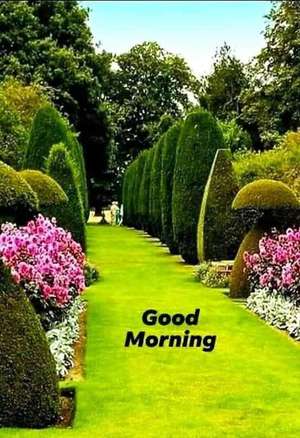 SAHIL VERMA