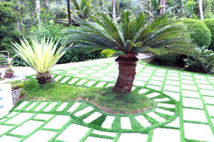 Mariyan industries stone  Landscaping