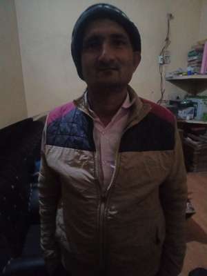 gulfam saifi