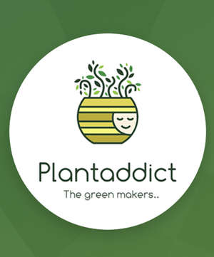 Plantaddict in