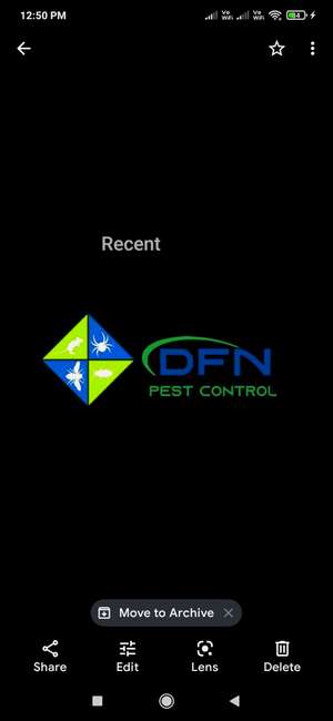 DFN PEST CONTROL