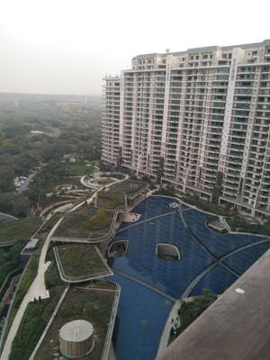 Ravinder
