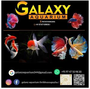 GALAXY AQUARIUM