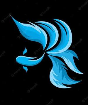 Ashraf