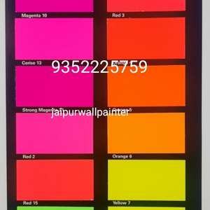 Jaipurwallpainter