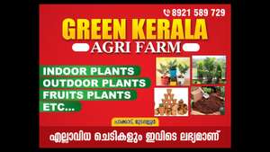 green kerala agri farm aswin