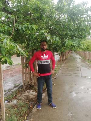 Jasim