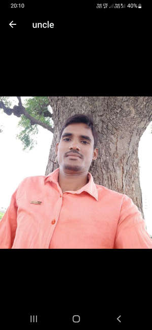 jawed