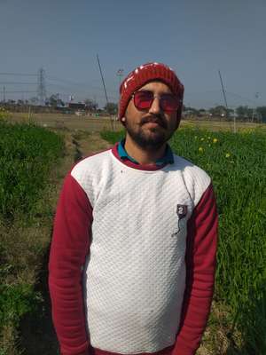 Rahisu