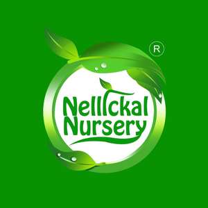Nellickal Nursery®️
