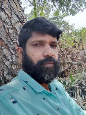 Anish 