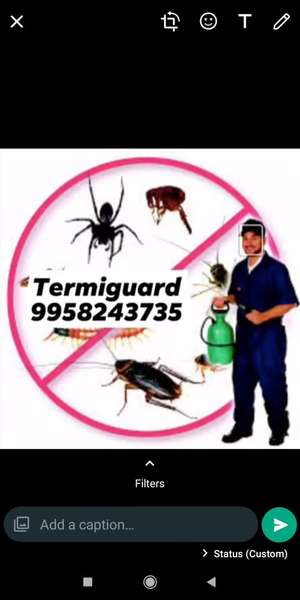 Termi