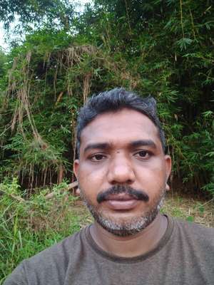 Muneer Kallarakal