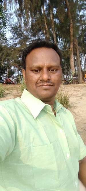 Anis