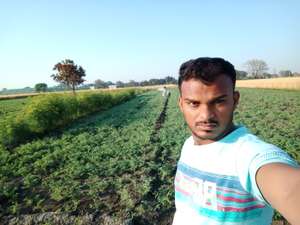 Bhola