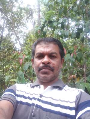 binoy thomas