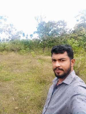 Libin