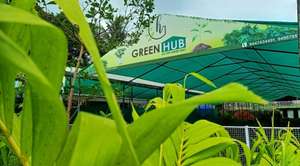 Green Hub Nursery neeba nibin