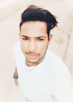 Anil