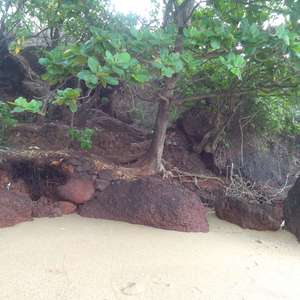 Suraj