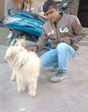 Rajesh kumar