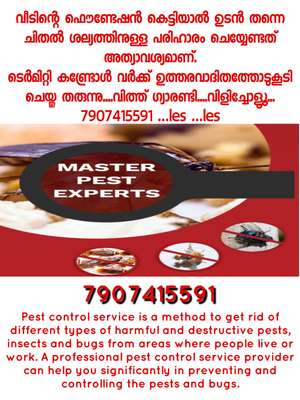 master pest experts