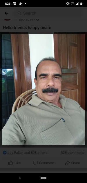 Raphyp pallan