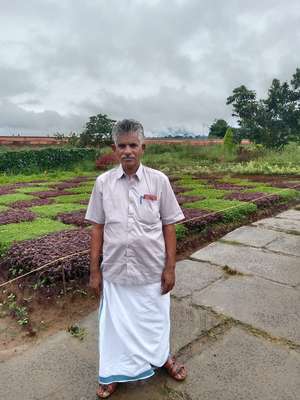 Abdul bari