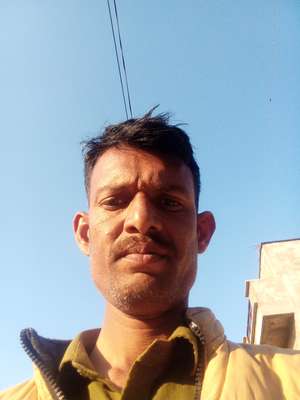 Rahul Jatav