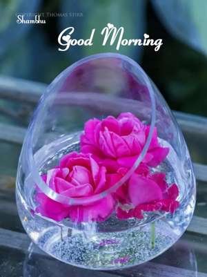 aslam 