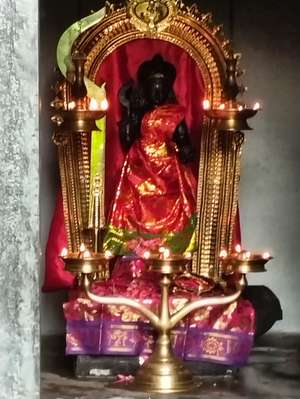 Vinod