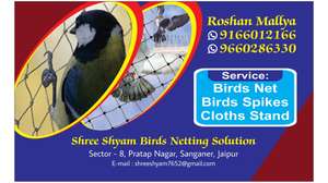 roshan