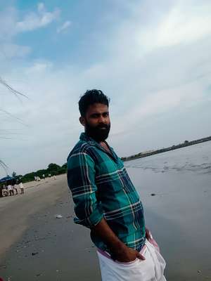 Anil
