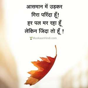 Bhim