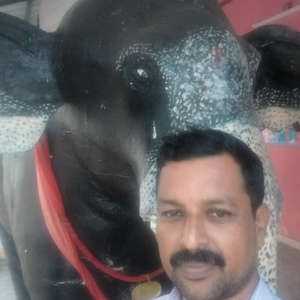 raju