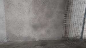 Prem Kumar