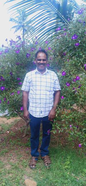 Biju