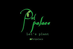 pot palace