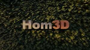 Hom3d