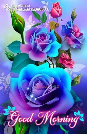 Anil