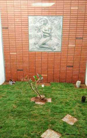Designplus